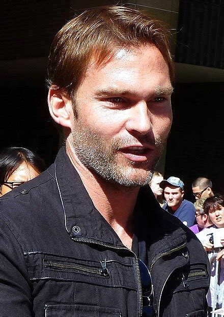 sean william scott|seann william scott wikipedia.